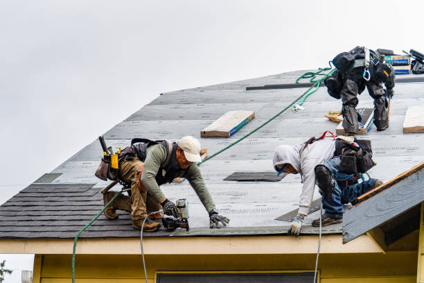 Professional Gutter Installation technician working in Williamsport, OH